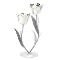 SilverTulip